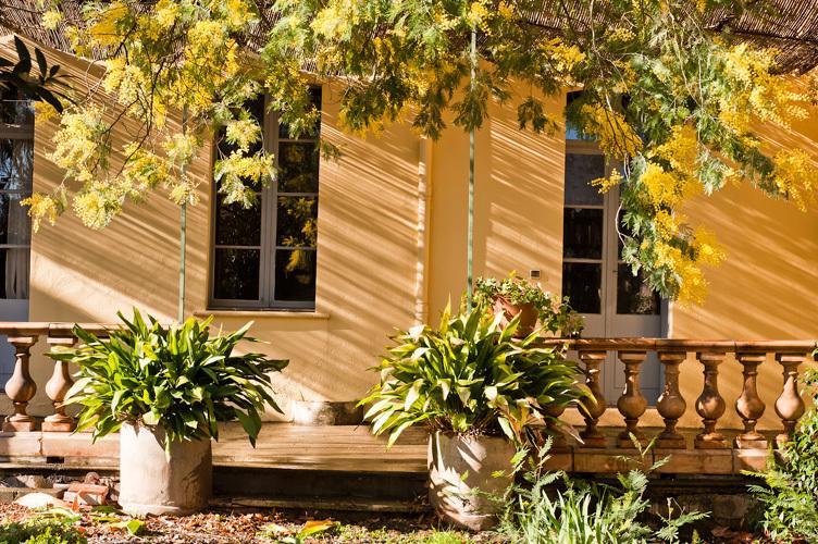 Les Buis Bed & Breakfast Ille-sur-Têt Dış mekan fotoğraf